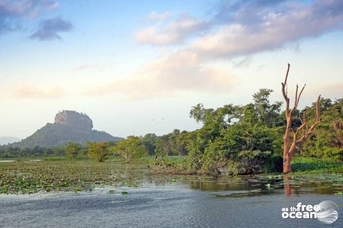 DAMBULLA SRI LANKA