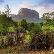 DAMBULLA SRI LANKA