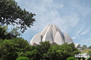 NEW DELHI INDIA