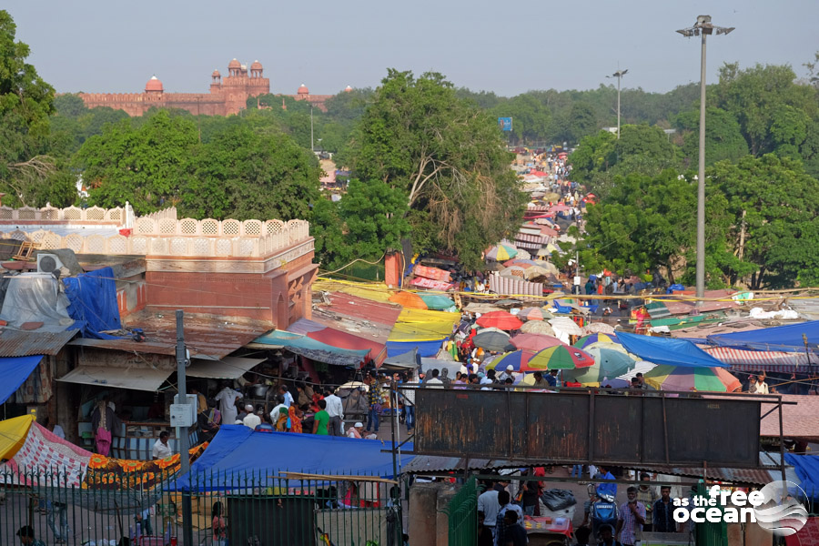 NEW DELHI INDIA