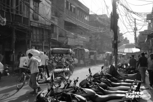 NEW DELHI INDIA
