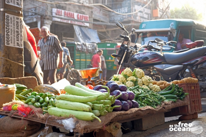 NEW DELHI INDIA