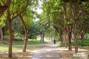 NEW DELHI INDIA