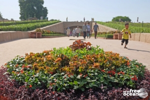 NEW DELHI INDIA