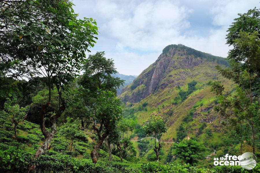 ELLA SRI LANKA