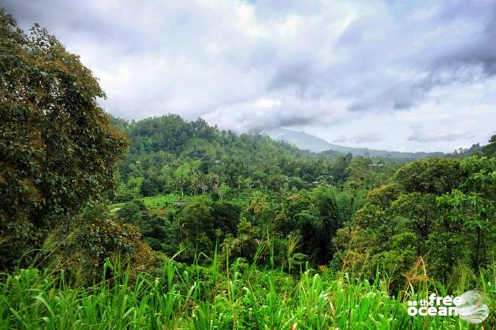 ELLA SRI LANKA