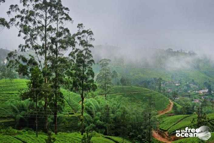 ELLA SRI LANKA