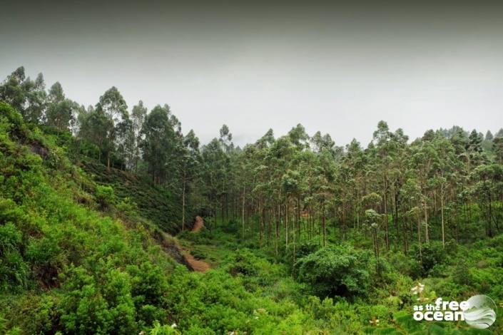 ELLA SRI LANKA