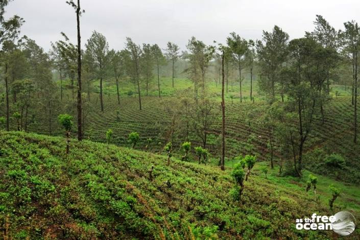 ELLA SRI LANKA