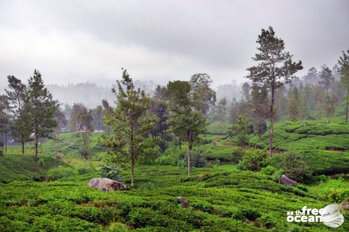 ELLA SRI LANKA