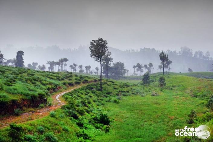 ELLA SRI LANKA