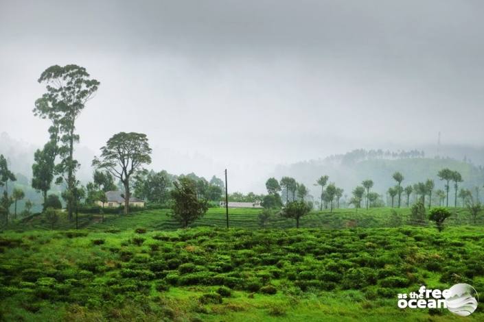 ELLA SRI LANKA