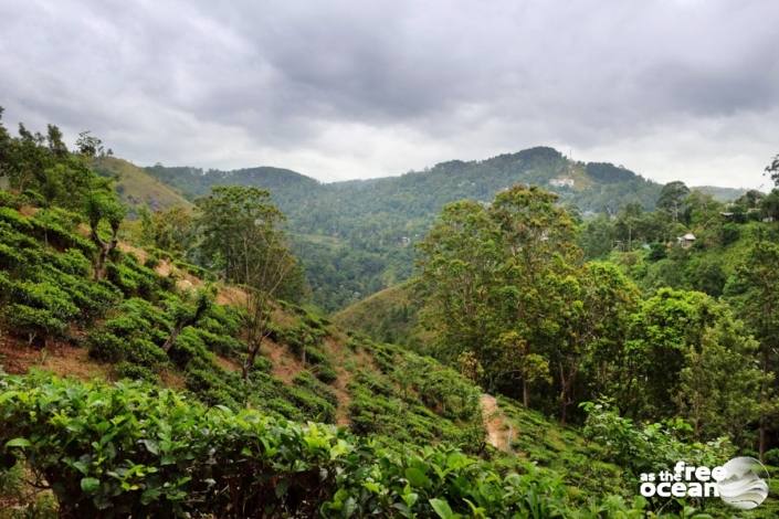 ELLA SRI LANKA