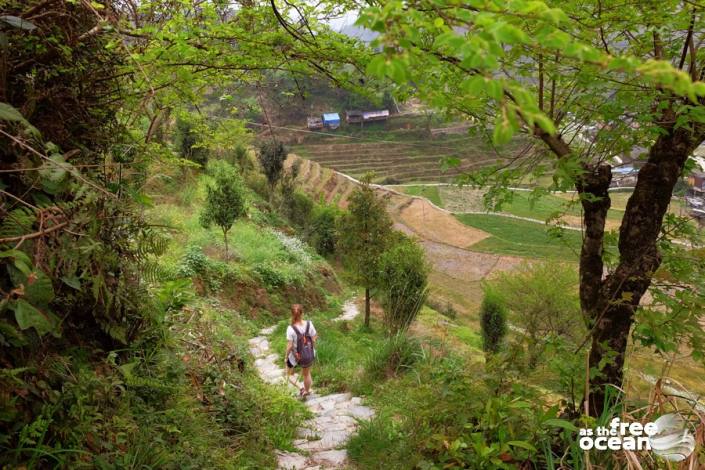 THE LONGJI RICE TERRACES GUILIN CHINA