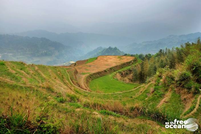 THE LONGJI RICE TERRACES GUILIN CHINA