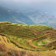 THE LONGJI RICE TERRACES GUILIN CHINA