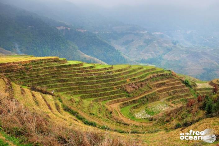 THE LONGJI RICE TERRACES GUILIN CHINA