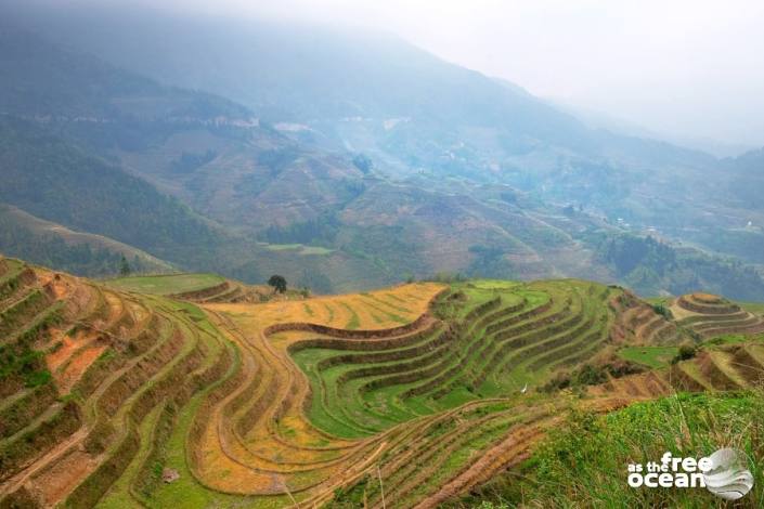 THE LONGJI RICE TERRACES GUILIN CHINA