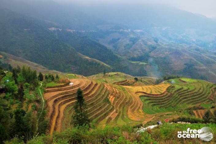 THE LONGJI RICE TERRACES GUILIN CHINA