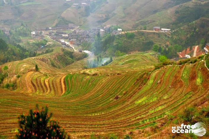 THE LONGJI RICE TERRACES GUILIN CHINA