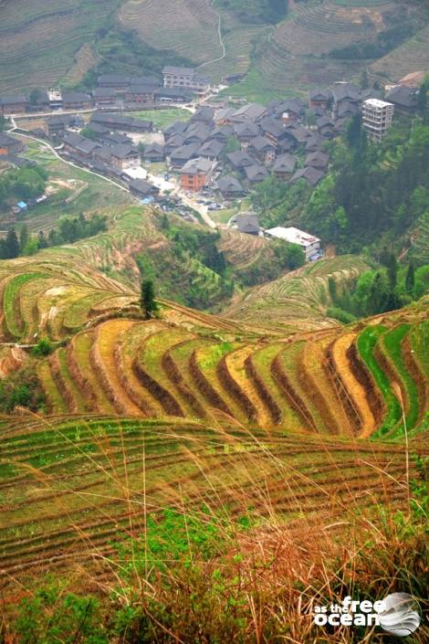 THE LONGJI RICE TERRACES GUILIN CHINA