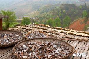 THE LONGJI RICE TERRACES GUILIN CHINA