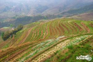 THE LONGJI RICE TERRACES GUILIN CHINA