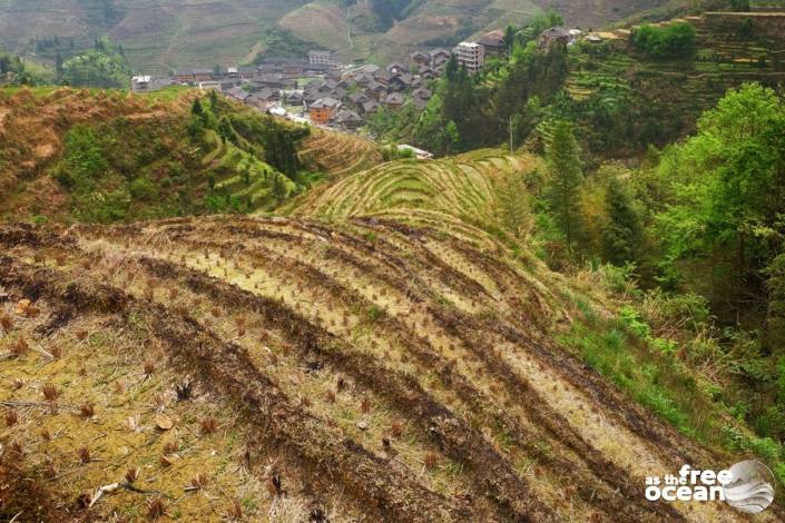 THE LONGJI RICE TERRACES GUILIN CHINA