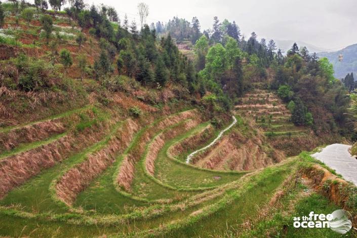 THE LONGJI RICE TERRACES GUILIN CHINA