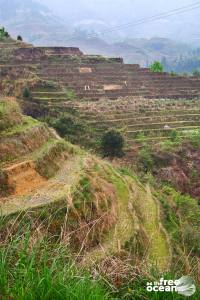 THE LONGJI RICE TERRACES GUILIN CHINA