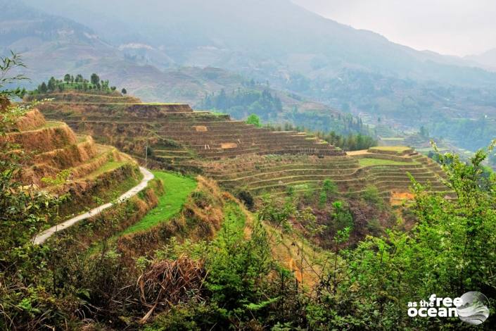 THE LONGJI RICE TERRACES GUILIN CHINA