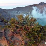 MOUNT IJEN JAVA INDONESIA