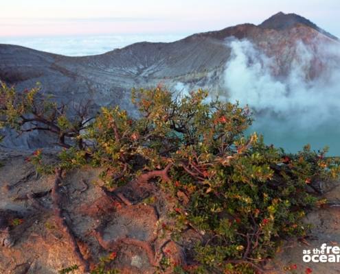 MOUNT IJEN JAVA INDONESIA