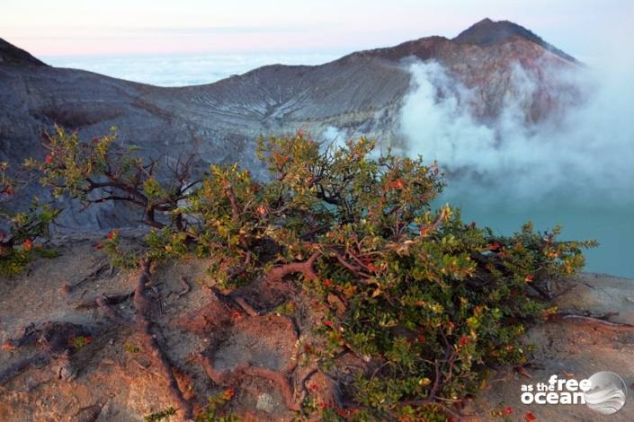 MOUNT IJEN JAVA INDONESIA