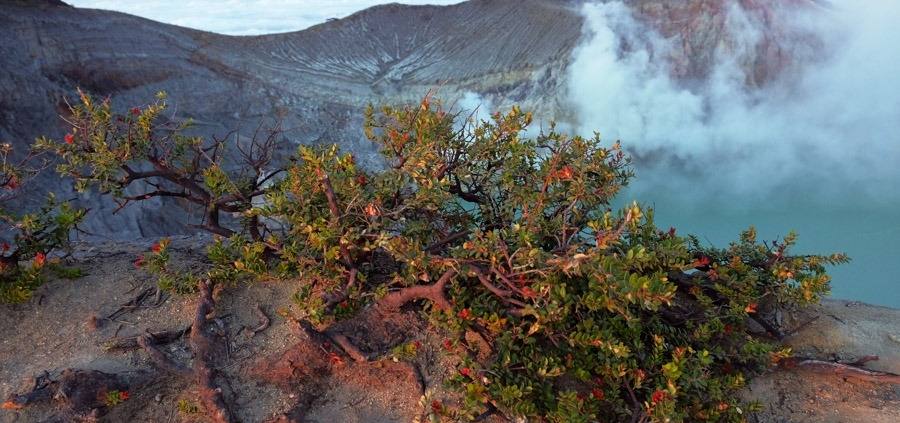 MOUNT IJEN JAVA INDONESIA