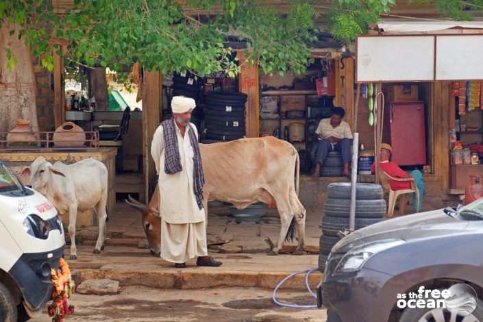 JAISALMER INDIA