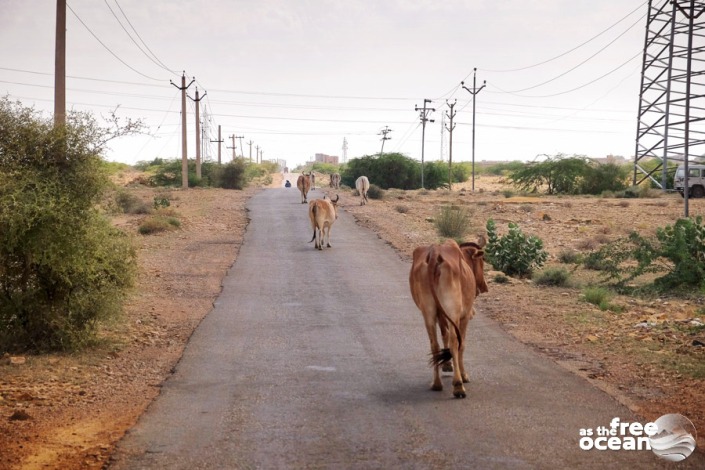 JAISALMER INDIA