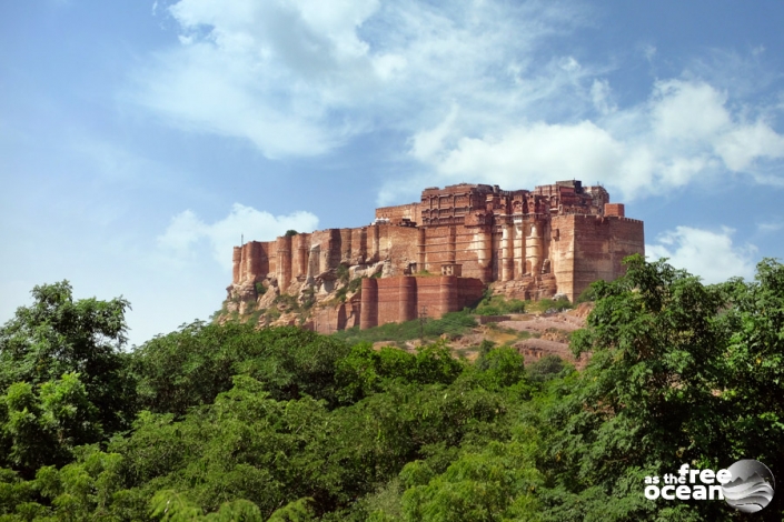 JODHPUR RAJASTHAN INDIA