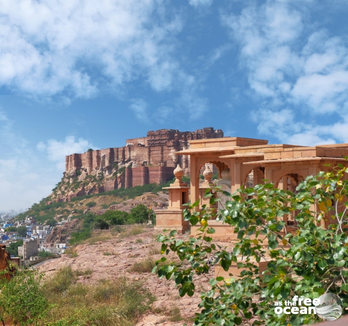 JODHPUR RAJASTHAN INDIA