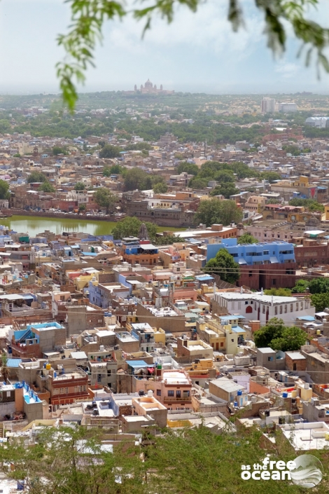 JODHPUR RAJASTHAN INDIA