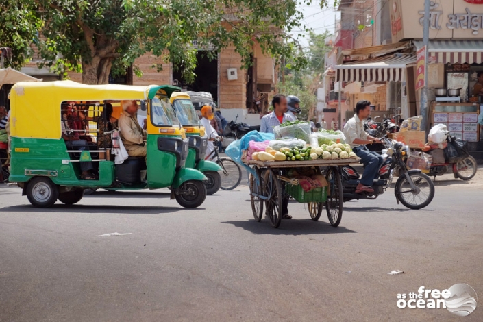 JODHPUR RAJASTHAN INDIA