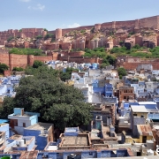 JODHPUR RAJASTHAN INDIA