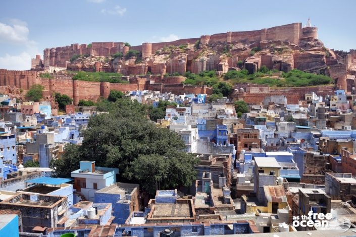 JODHPUR RAJASTHAN INDIA