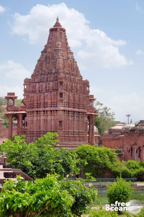 JODHPUR RAJASTHAN INDIA