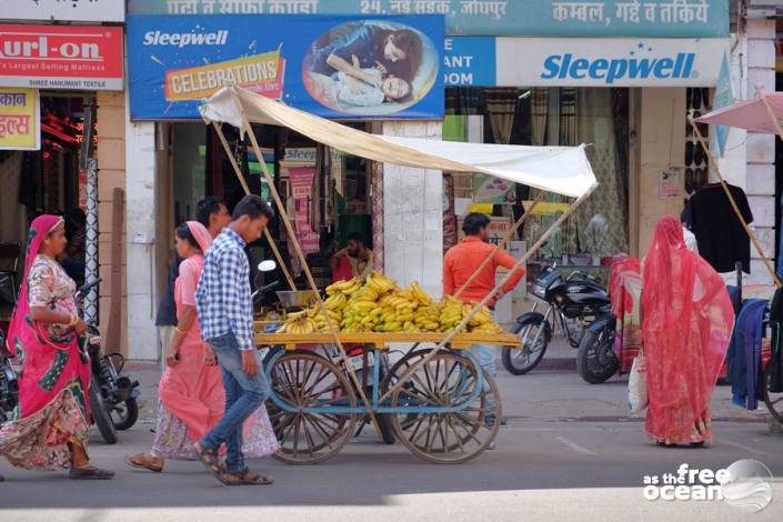 JODHPUR RAJASTHAN INDIA