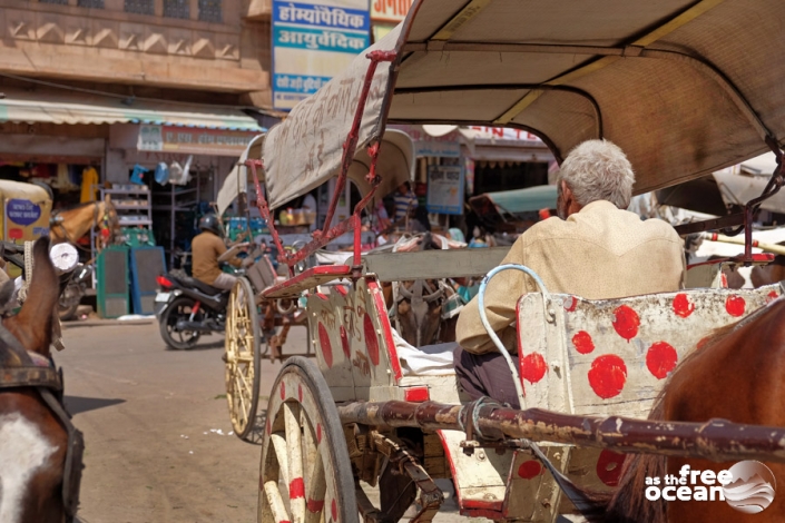 JODHPUR RAJASTHAN INDIA