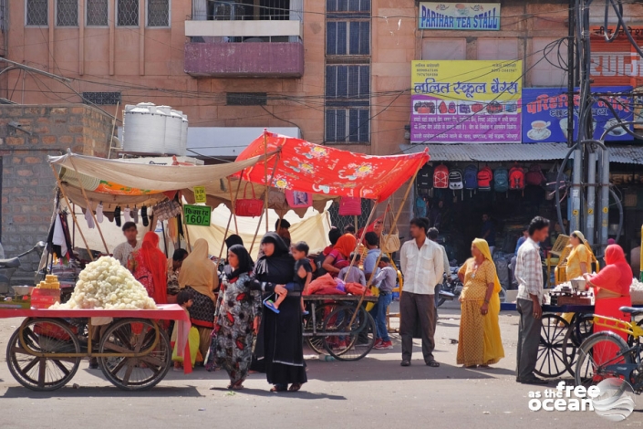 JODHPUR RAJASTHAN INDIA