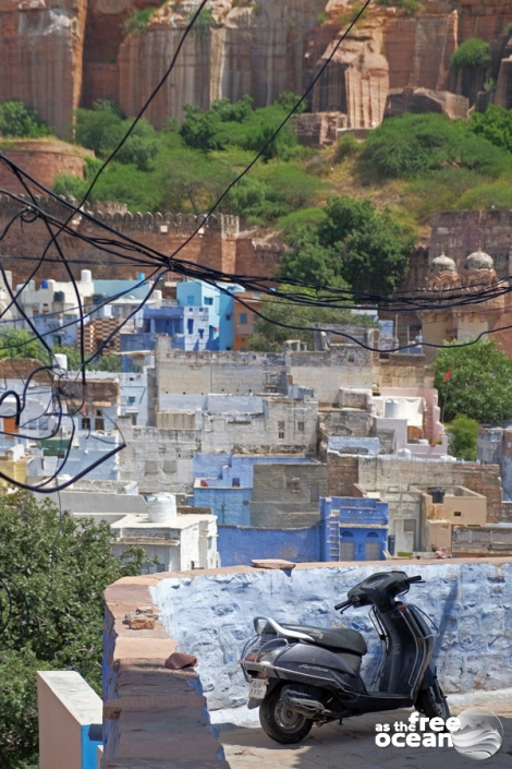 JODHPUR RAJASTHAN INDIA