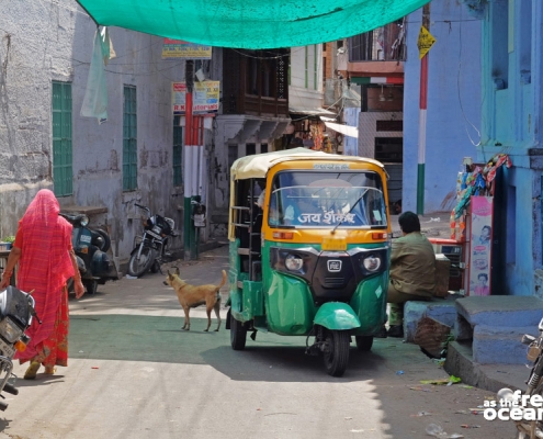 JODHPUR RAJASTHAN INDIA