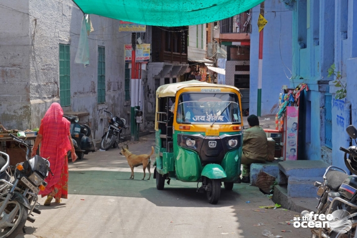 JODHPUR RAJASTHAN INDIA